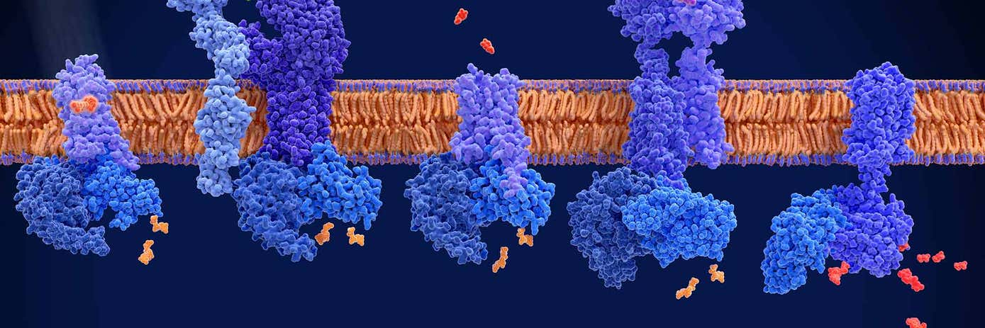 advancing receptor binding and kinetic assays hero