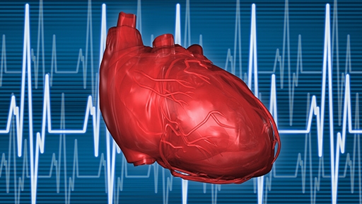 Cardiovascular Disease Research
