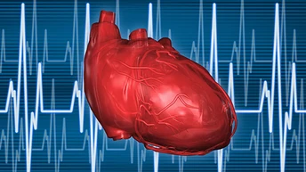 Cardiovascular Disease Research