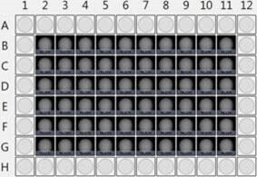 celigo 96 well plate