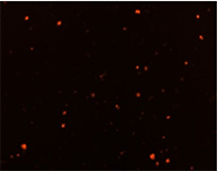 celigo cell counting pi-d2