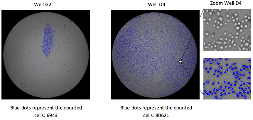 celigo cell counting whole well image