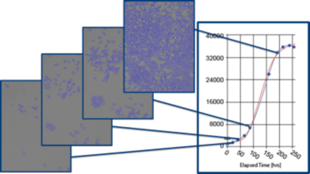 celigo cell counting