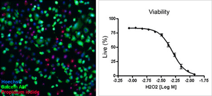 Celigo cell viability