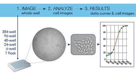 celigo diagram