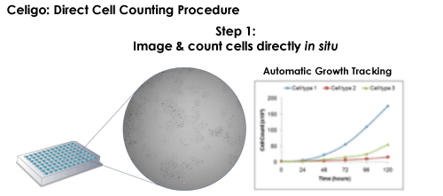 Celigo direct cell counting procedure