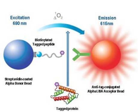 Protein Interaction Assays Icon