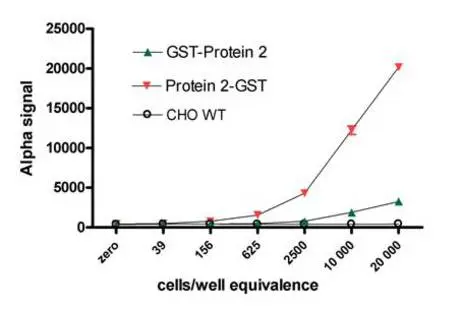 cell-based-protein-protein-interaction-assays