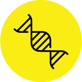 cell-biology-microsite