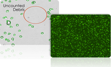 cell count optimized to exclude debris