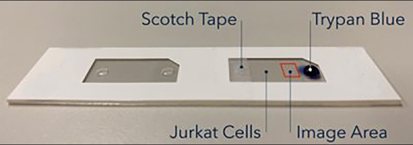 cell-counting-slide-set-up-fig3-850x300