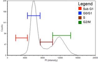 Cell cycle dapi graph