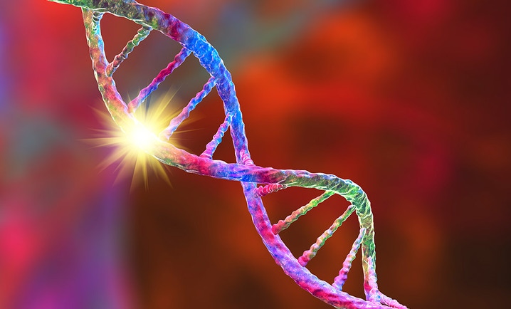 cell line engineering