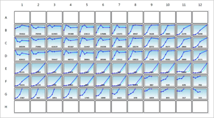 cell growth curves 96 well palte