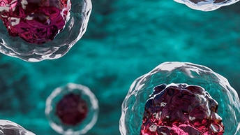 cell health viability