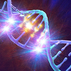 Antibody Drug Conjugate Services