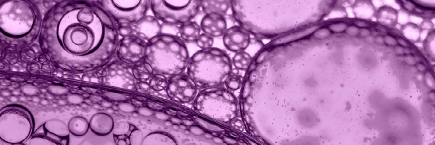 cell preparation a key step for successful camp assays hero