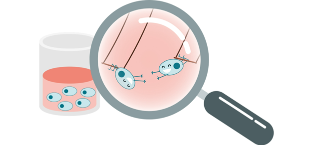 cell-preparation-a-key-step-for-successful-camp-assays_Image2