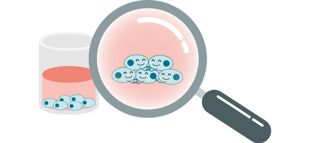 cell-preparation-a-key-step-for-successful-camp-assays_Image4