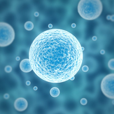 cell-signaling-research-reagents872x872