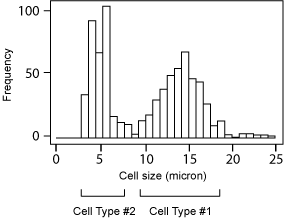 Cell Size Histogram