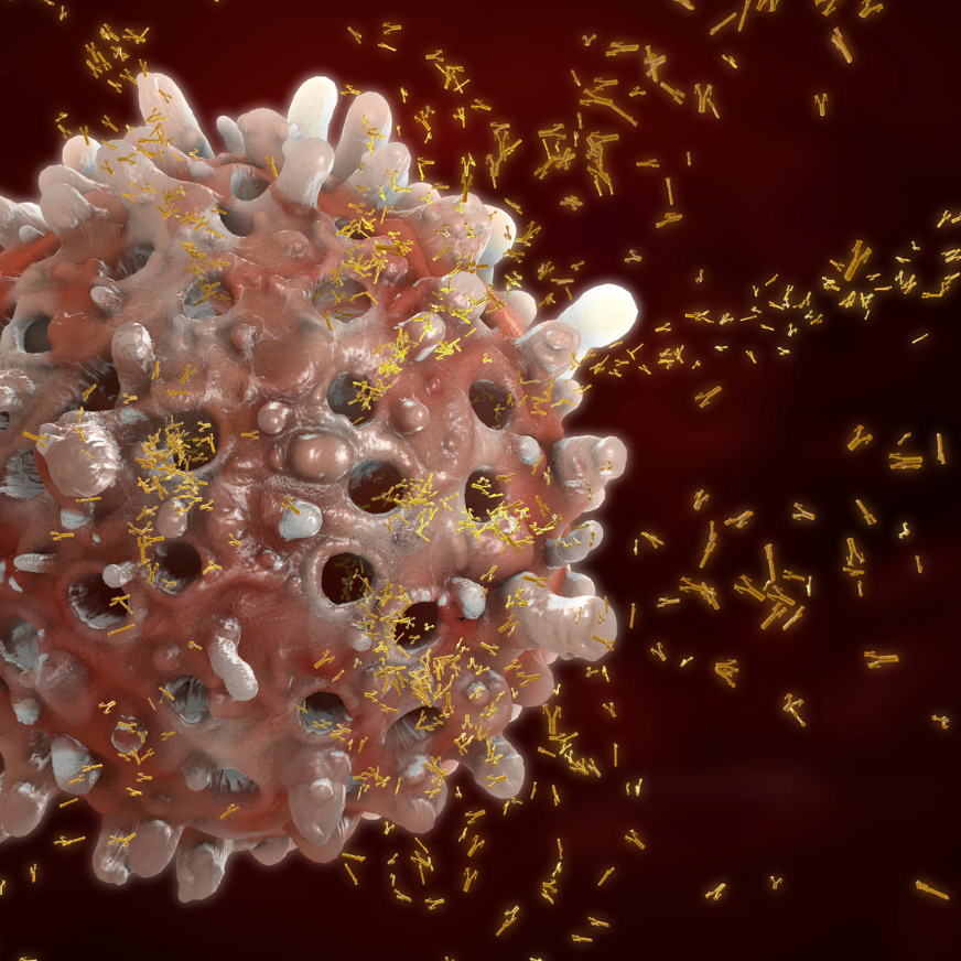 Cellular and Humoral Immunoassays
