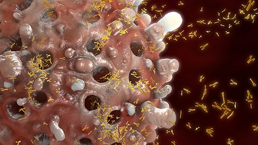 Cellular and Humoral Immunoassays