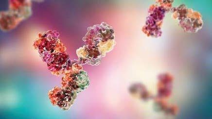 characterization-of-nistmab-with-microfluidic-ce-sds-512x288