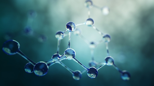 chickpeaseed_br96-v4-thumb_512x288