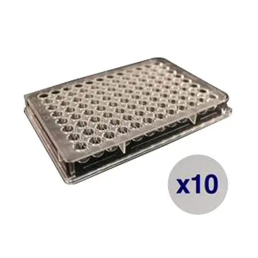 High-throughput counting plates, 8 x 3 orientation