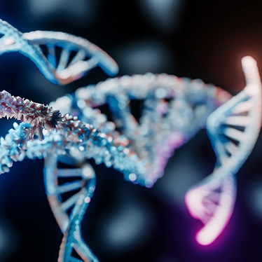 chosource-cle-service