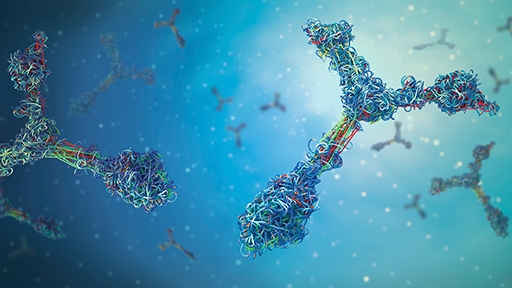 chosource-platform512x288