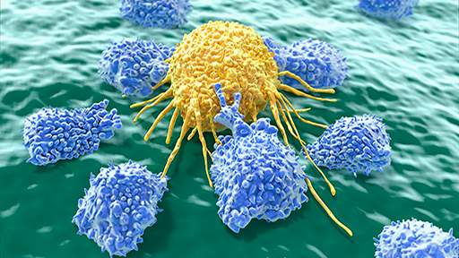 clinically-translatable512