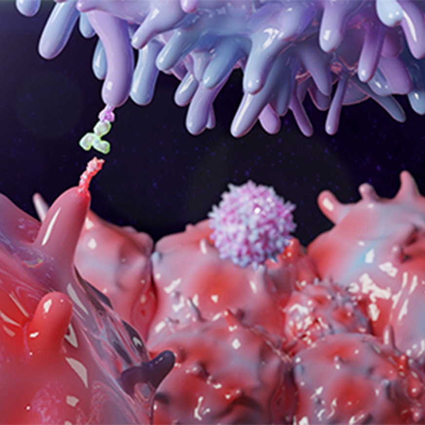 clone-selection-and-development