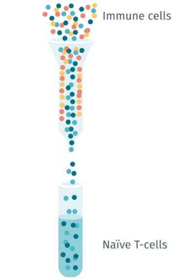 column isolation