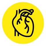 coronary-and-vascular-conditions