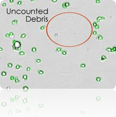 counted cell image excludes debris