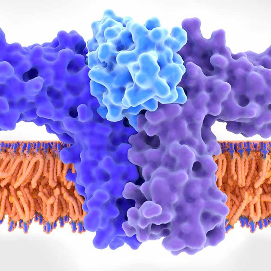 cytokine research reagents