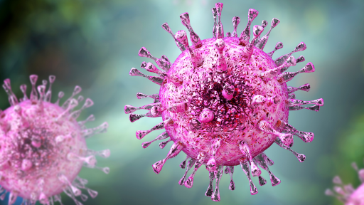 Cytomegalovirus thumbnail