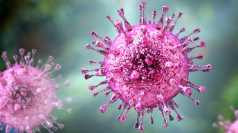 Cytomegalovirus thumbnail