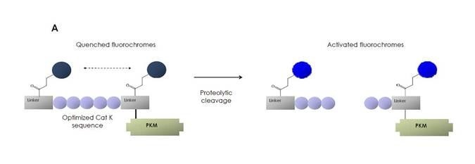 cytometry-filter1.png