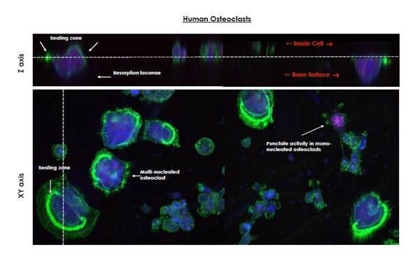 cytometry-filter5.png