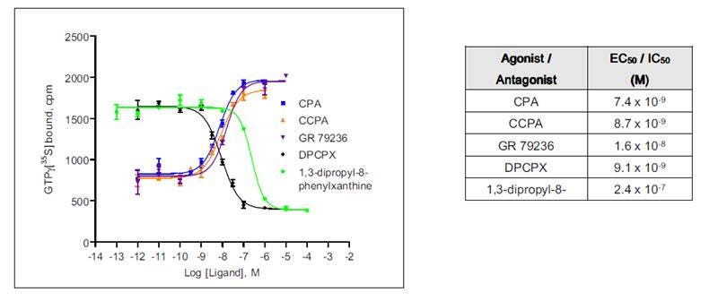 data-analysis-for-35s-gtp-binding-assays-fig1