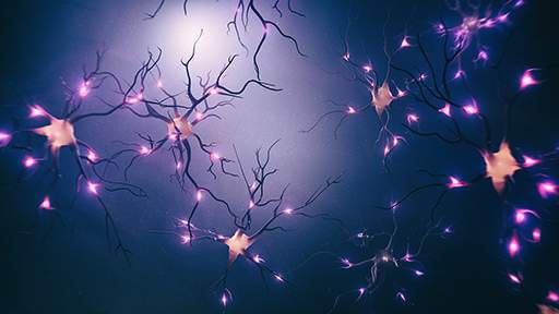deciphering-the-properties-of-nicotinic-acetylcholine-receptors-512x288