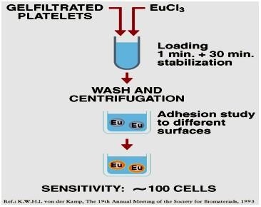 delfia-biodistribution-fig1.png