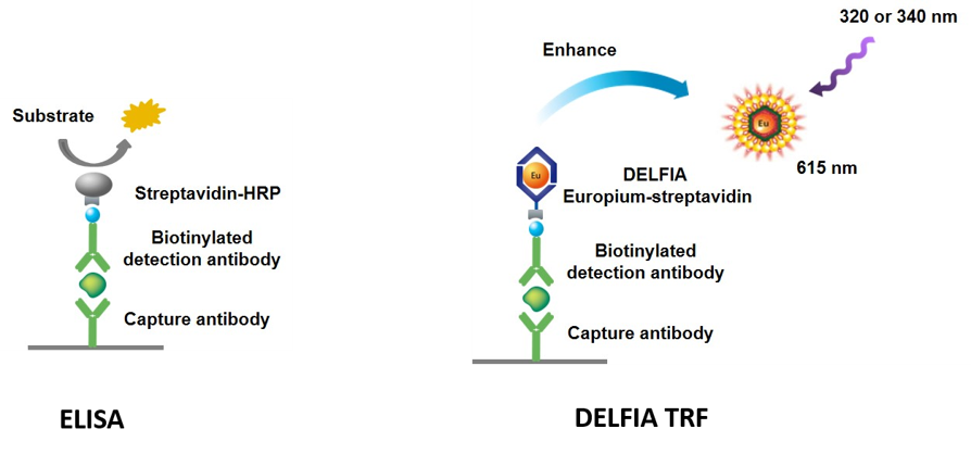 delfia-immunoassays-fig1.png