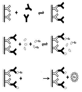 delfia-immunoassays-fig2.png