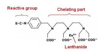 delfia-labeling-fig1.png