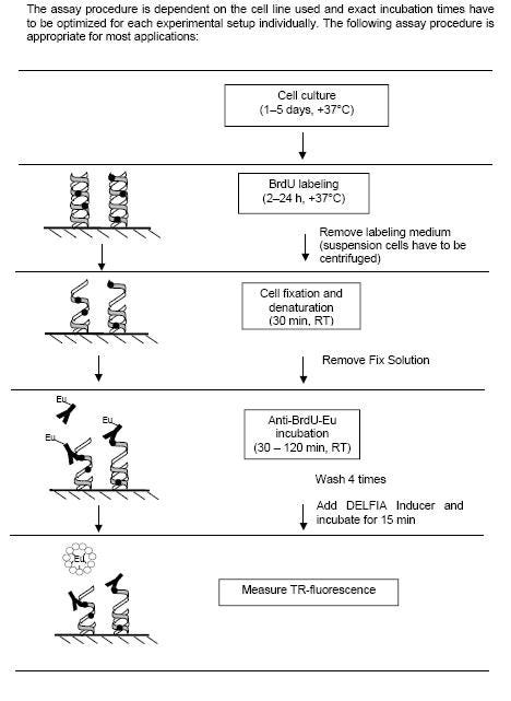 delfia-proliferation-fig2.jpg