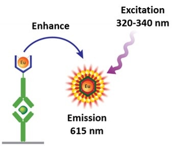 delfia-trf-assays-fig1.jpg